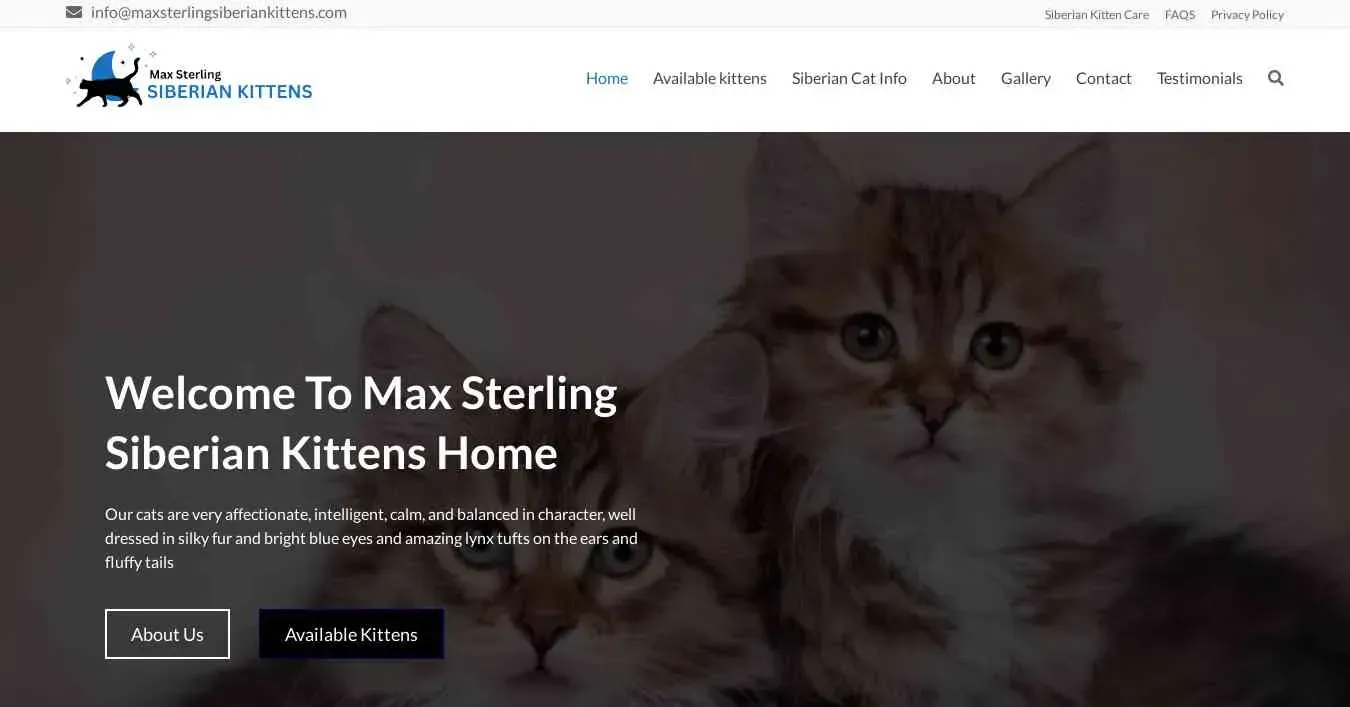 is maxsterlingsiberiankittens.com legit? screenshot