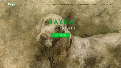 A screenshot of Mayrasbassethoundpuppies.shop