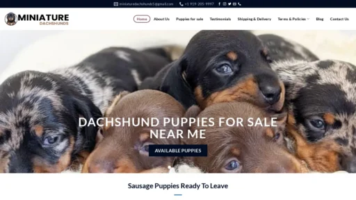 A screenshot of Mbminiaturedachshunds.com