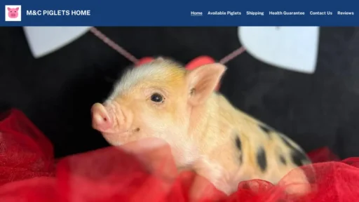 A screenshot of Mcalpaca.com