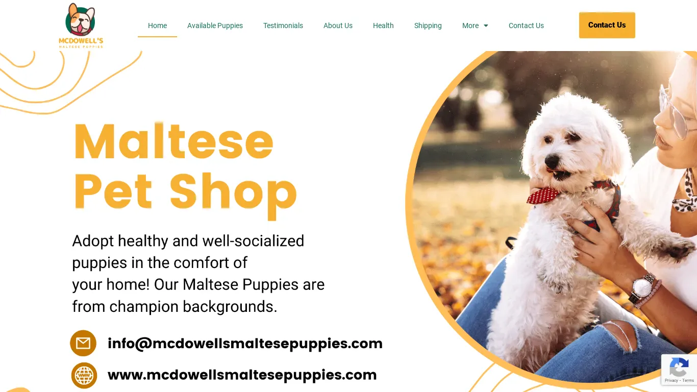 is mcdowellsmaltesepuppies.com legit? screenshot