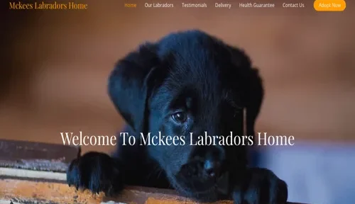 A screenshot of Genlanfamilystbernard.com