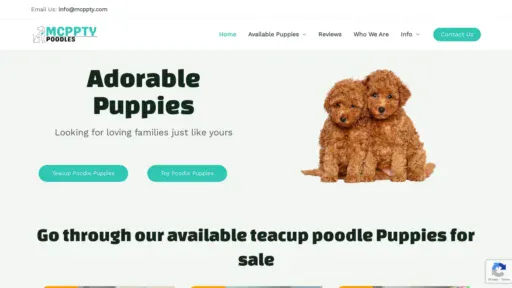 A screenshot of Mcppty.com