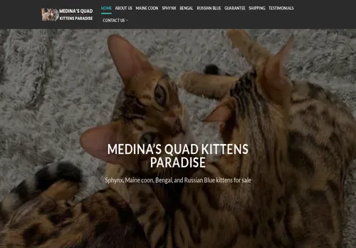 is medinaskittens.com legit? screenshot