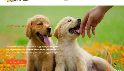 A screenshot of Genlanfamilystbernard.com