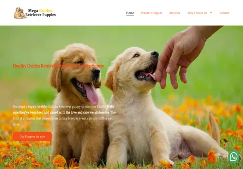 is megagoldenpups.com legit? screenshot