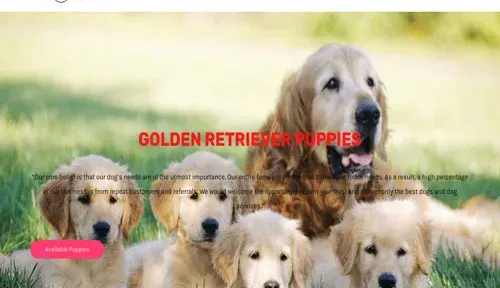 A screenshot of Genlanfamilystbernard.com