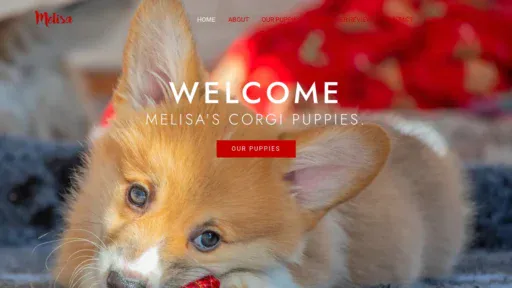 A screenshot of Melisawhitescorgipuppies.com