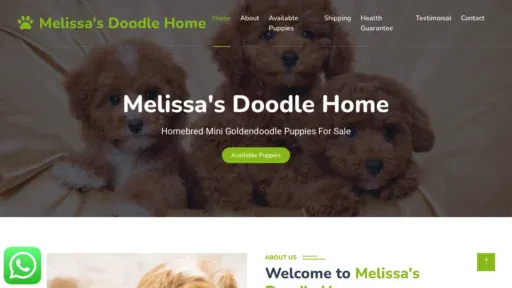 A screenshot of Melissasdoodlehome.com