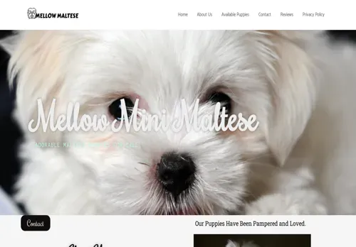 is melowminimaltese.com legit? screenshot