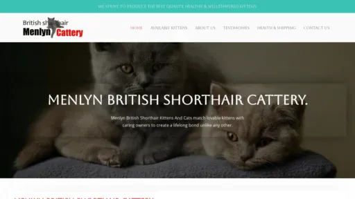 A screenshot of Menlynbritishshorthairkittens.com