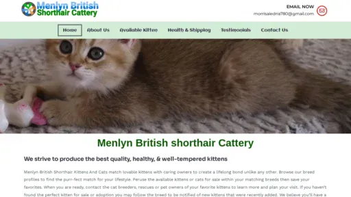 A screenshot of Menlynbritishshorthairkittenscattery.com