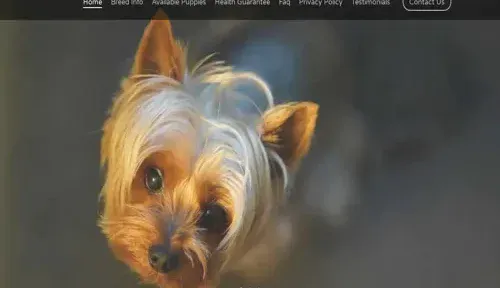 A screenshot of Genlanfamilystbernard.com