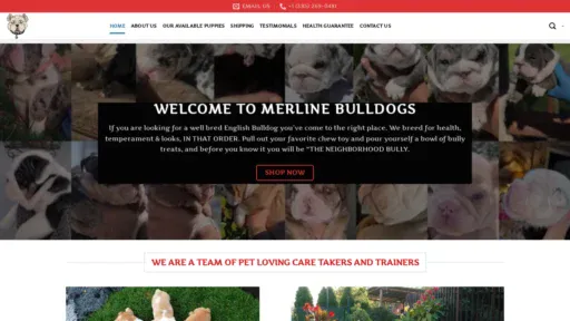 A screenshot of Merlinebulldogs.com