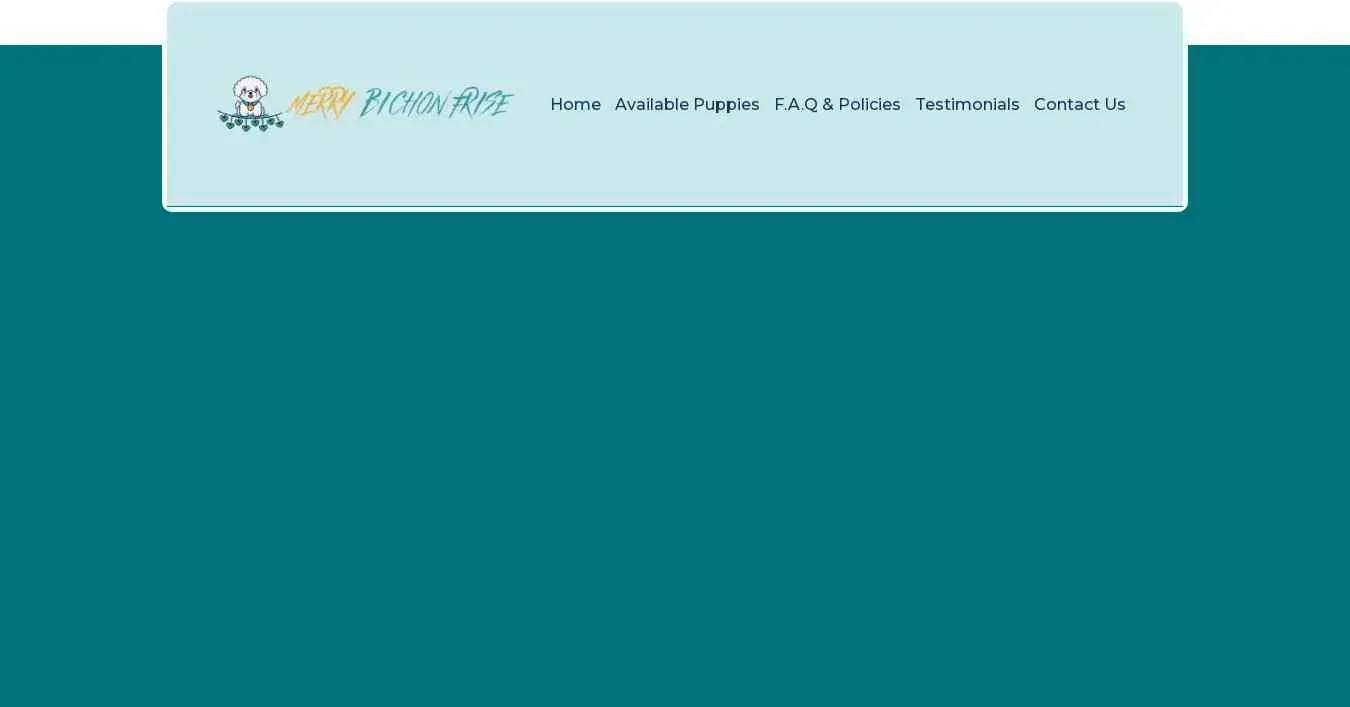 is merrybichonfrise.com legit? screenshot