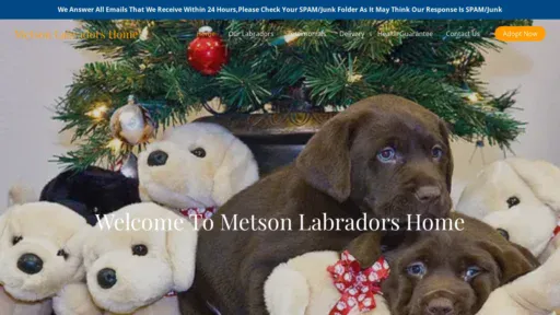 A screenshot of Metsonlabradorshome.com