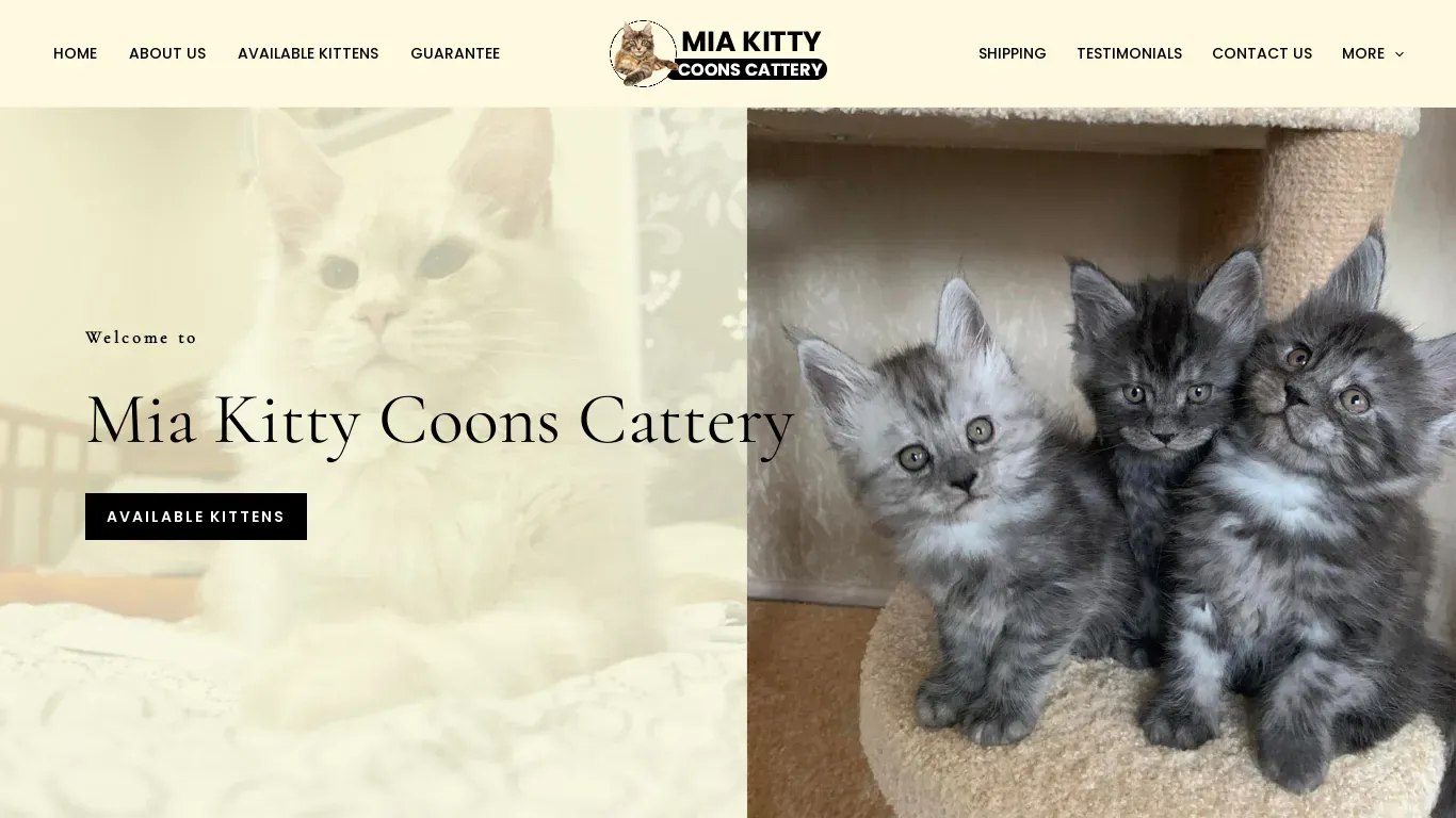is miakittycoons.com legit? screenshot