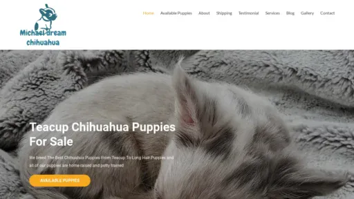 A screenshot of Michaeldreamchihuahuapuppies.com