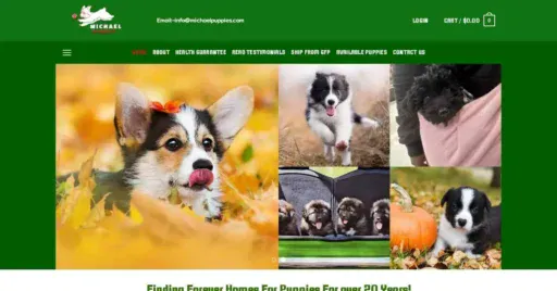 A screenshot of Genlanfamilystbernard.com