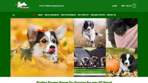 A screenshot of Genlanfamilystbernard.com