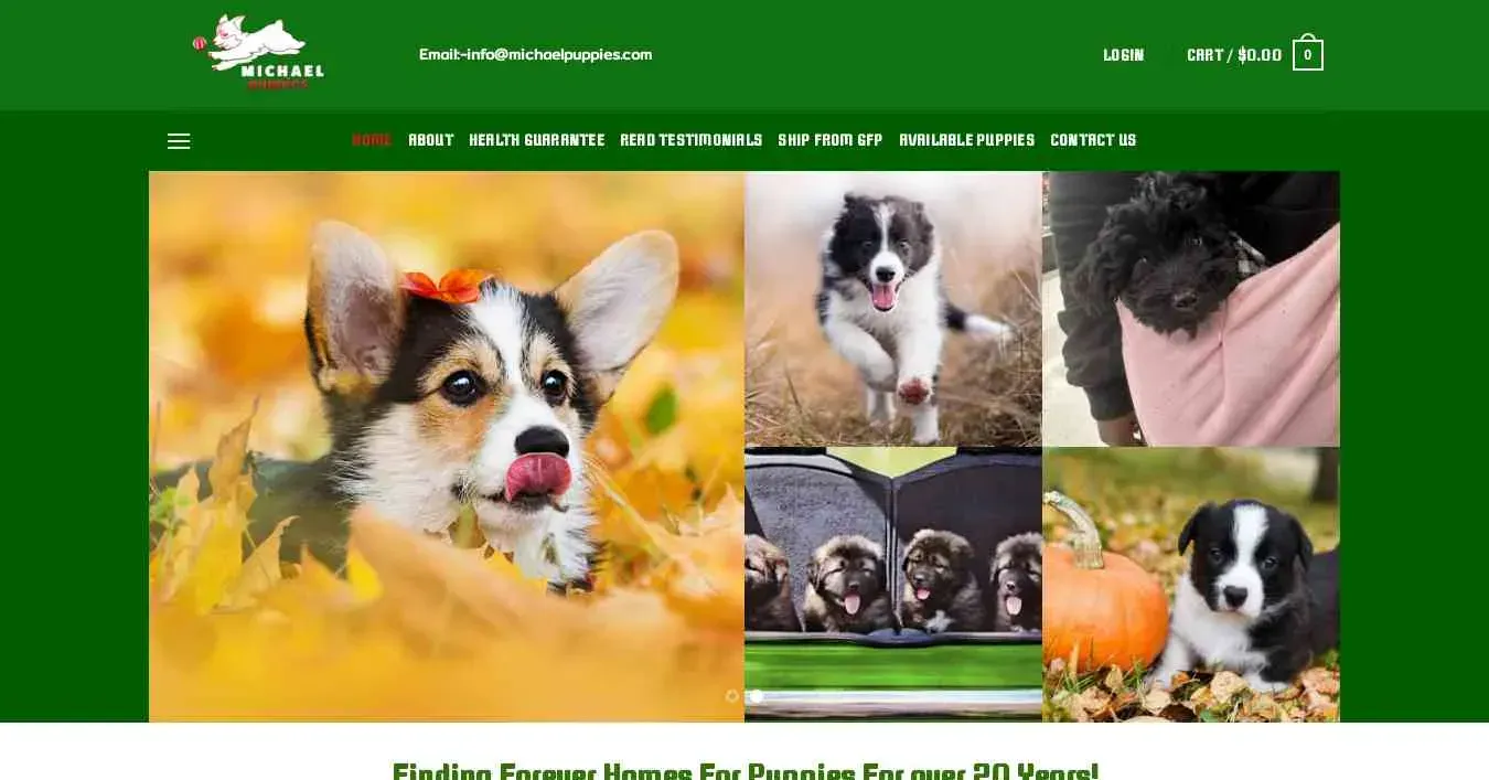 is michaelpuppies.com legit? screenshot