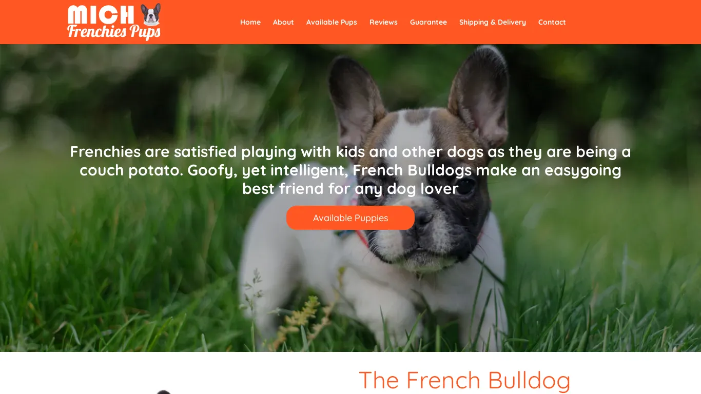 is michfrenchiespups.com legit? screenshot