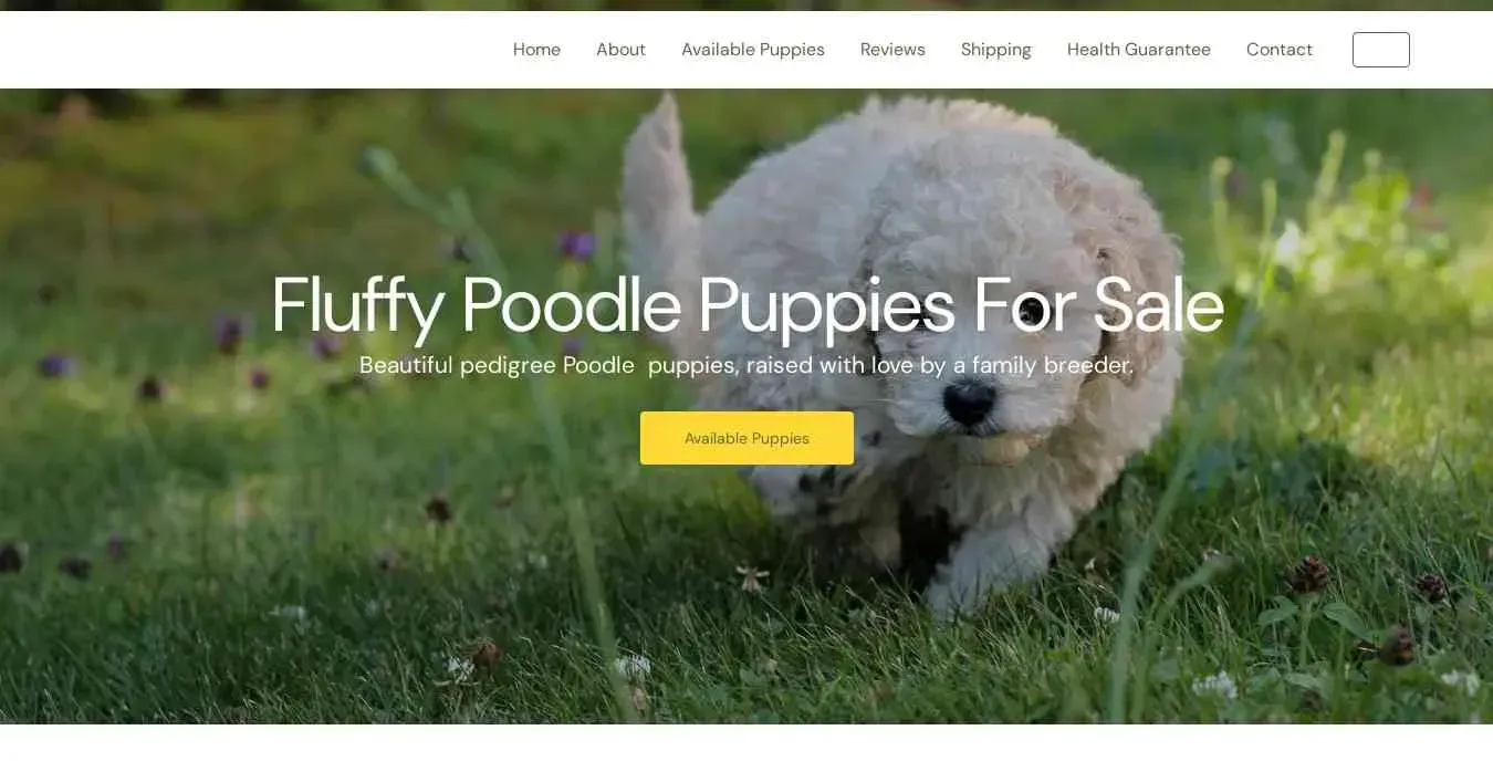 is michnelfluffypoodlepuppies.com legit? screenshot