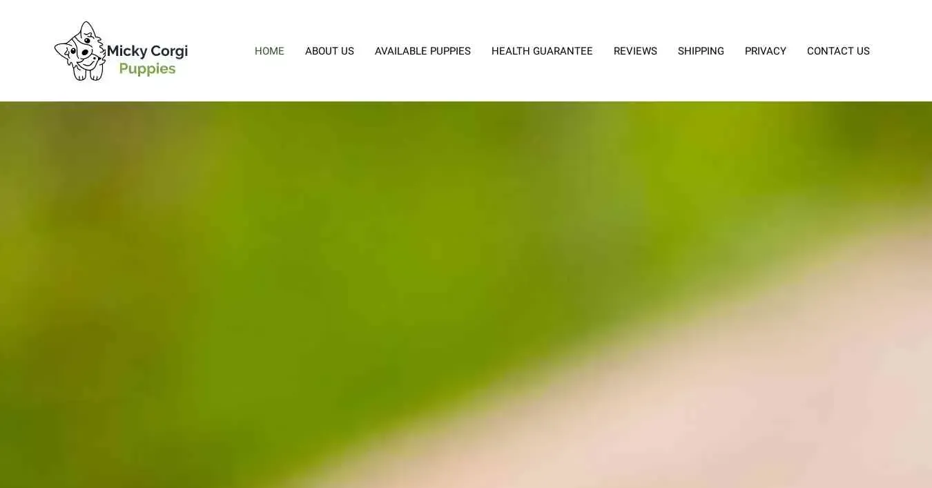 is mickycorgipuppies.com legit? screenshot