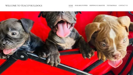 A screenshot of Microbulliesplace.com