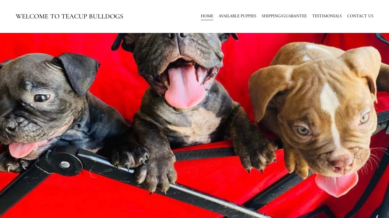 is WELCOME TO TEACUP BULLDOGS legit? screenshot