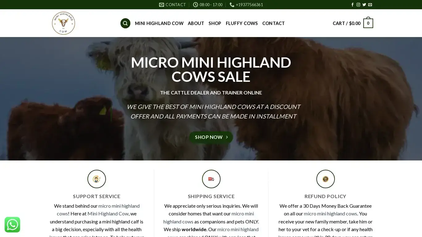 is Micro Mini highland Cow - Mini Highland Cows For Sale legit? screenshot