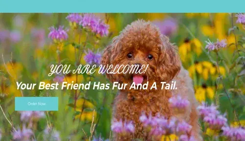 A screenshot of Genlanfamilystbernard.com