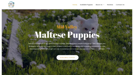 A screenshot of Midvalleymaltese.com