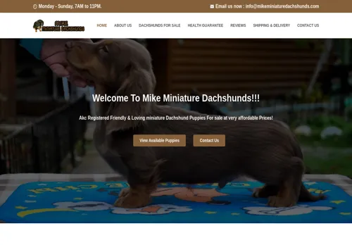 is mikeminiaturedachshunds.com legit? screenshot