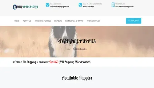 A screenshot of Genlanfamilystbernard.com