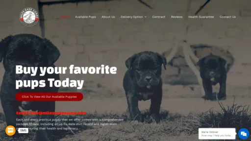A screenshot of Milescanecorso.com