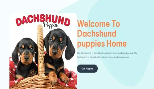 A screenshot of Genlanfamilystbernard.com