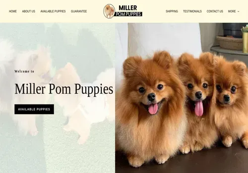 is millerpompuppies.com legit? screenshot