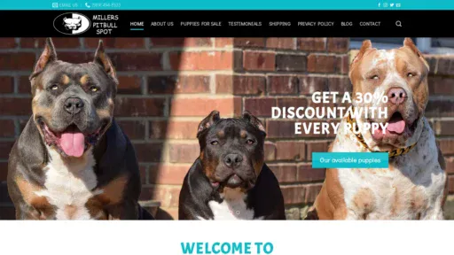 A screenshot of Milpitspot.com