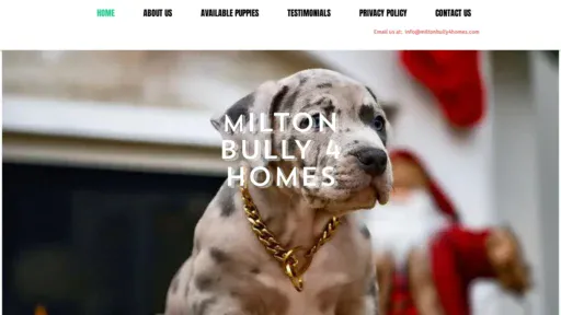 A screenshot of Miltonbully4homes.com