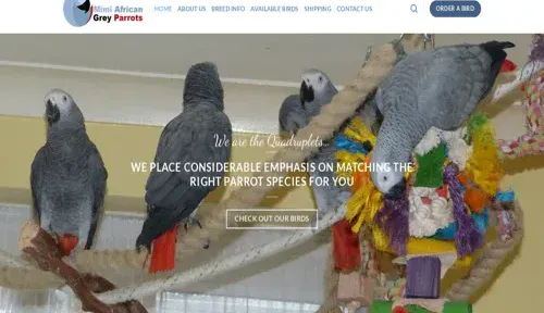 A screenshot of Genlanfamilystbernard.com