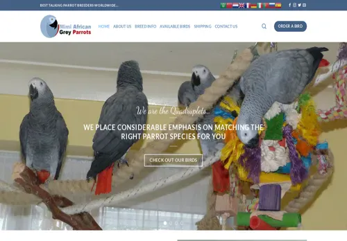 is mimiafricangreyparrots.com legit? screenshot