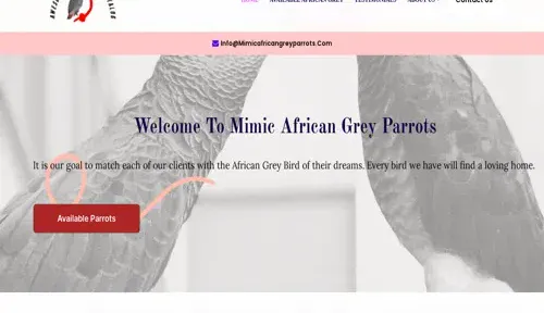 A screenshot of Genlanfamilystbernard.com