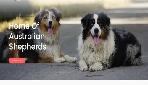 A screenshot of Genlanfamilystbernard.com