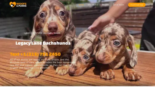 A screenshot of Miniaturedachshund.us