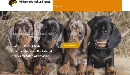 A screenshot of Genlanfamilystbernard.com