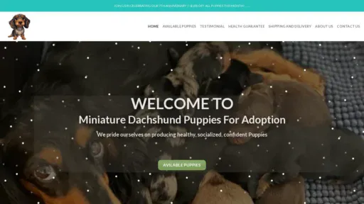 A screenshot of Miniaturedachshundpuppiesforadoption.com
