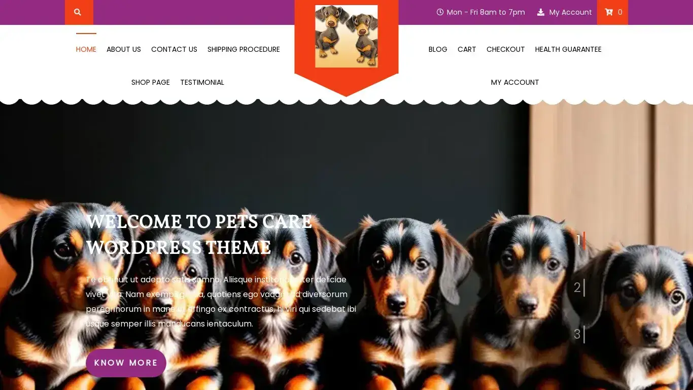 is Miniature Dachshund Puppies For Sale | 6 Lovely Doxies legit? screenshot