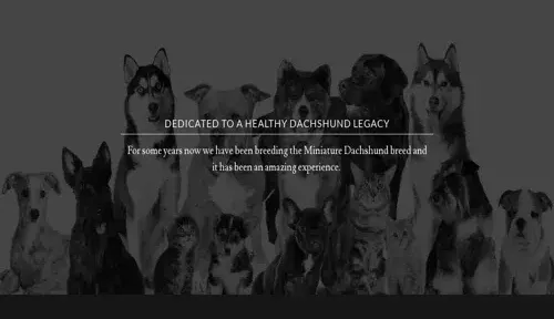 A screenshot of Genlanfamilystbernard.com