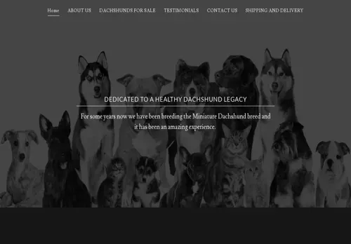 is miniaturedachshundsa.co.za legit? screenshot